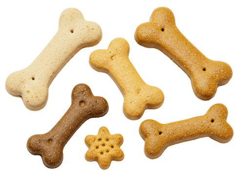 Assorted dog treats in various shapes and colors png