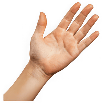Human Hand Showing Open Palm With Fingers Spread Against Transparent Background graphic design png