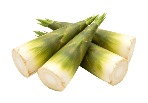 Fresh bamboo shoots displayed on transparent background for culinary use png