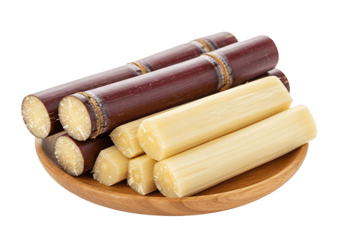 Fresh sugar cane sticks harvested and displayed on wooden plate png