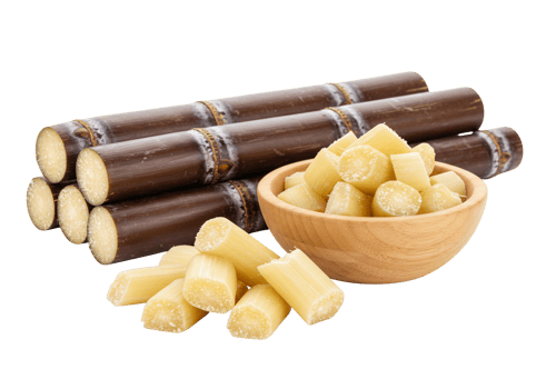 Fresh sugar cane sticks and cut pieces in wooden bowl png
