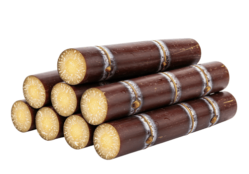 Bundles of fresh sugar cane stacked neatly on transparent background png