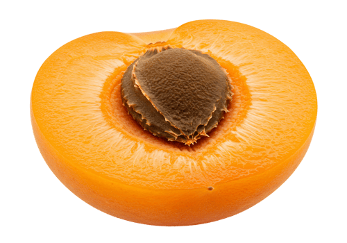 High quality close up of sliced fresh apricot half on transparent background png