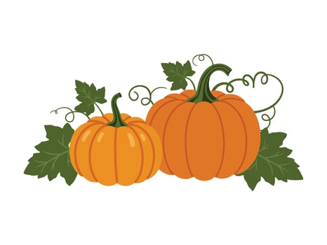 Pumpkin vibrant orange with green leaves and curly vines vector