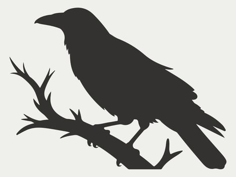 Mysterious raven perched on branch, elegant silhouette for Halloween or gothic designs, originally art vector
