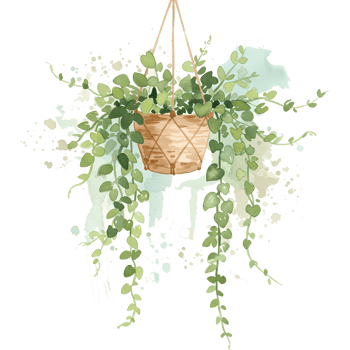 A plant with round leaves in a white pot with light blue and green spots around it on a transparent area on transparent background png