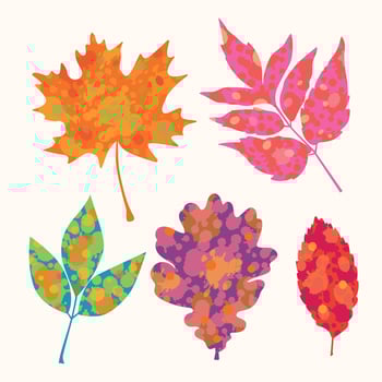 A colorful artistic set of autumn leaves that showcases a variety of shapes and shades. Suitable for designing postcards, patterns, and banners vector