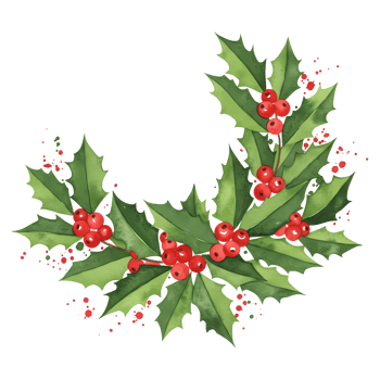 Festive arrangement featuring vibrant green leaves and clusters of bright red berries in a semi circle shape on transparent background png
