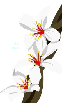 Flower on a Branch vector