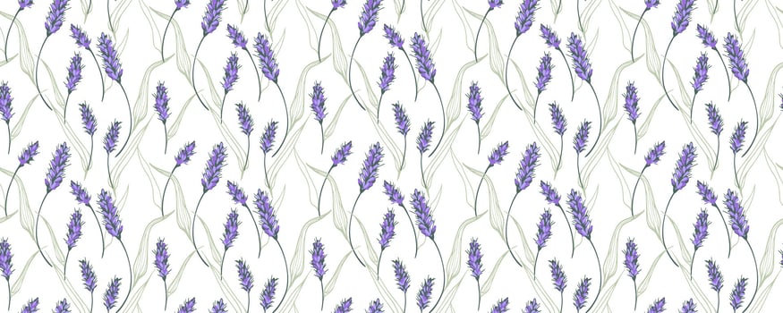 Seamless pattern with hand-drawn lavender flowers and leaves on white background. Elegant botanical design perfect for textiles, packaging, wallpapers, and natural cosmetics branding vector