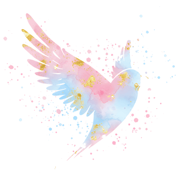 Watercolor wing design with pink and blue hues and golden accents on a plain setting space art on transparent background png