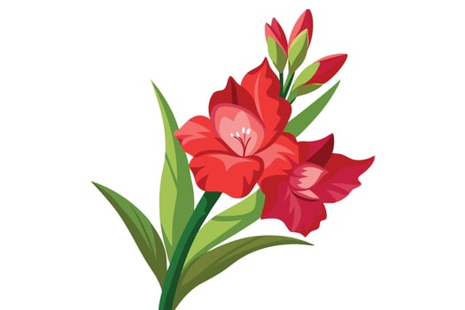 Stunning Red Gladiolus Blossoms in Full Bloom Against a White Background, Evoking Elegance and Serenity vector