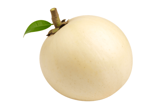 White fruit isolated on transparent background png