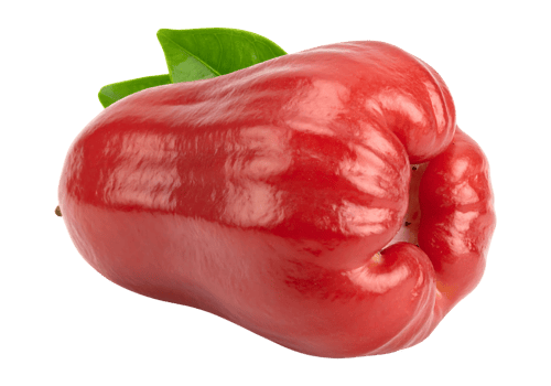 Rose apple isolated on transparent background png