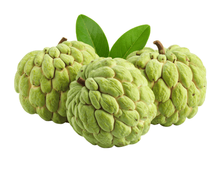 Custard apples isolated on transparent background png