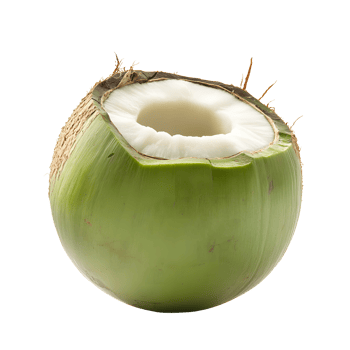 Fresh green coconut with top cut open showing white flesh isolated on transparent background png