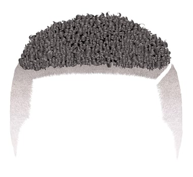 trendy curly african short black hair .fashion beauty style.afro vector
