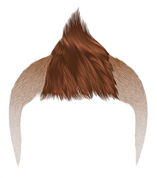 trendy man hairs . brown blond color . beauty style iroquois vector