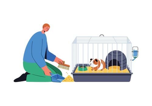 A man is cleaning a cage with a cat inside vector