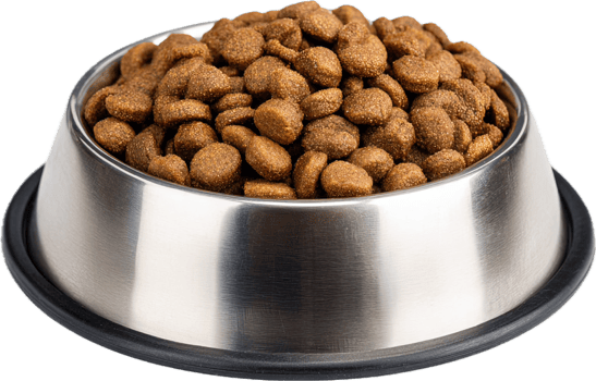 Dry pet food in stainless steel bowl for dogs and cats feeding time png