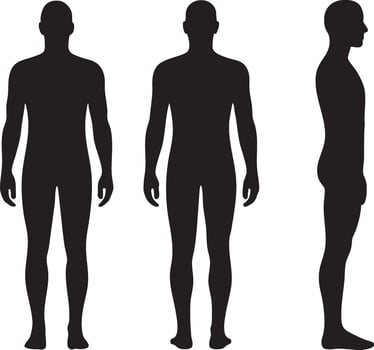 Human body silhouettes front back and side views vector