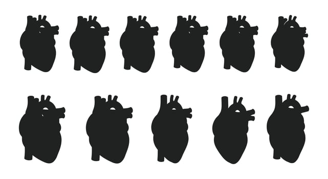 A set of silhouettes of human hearts vector