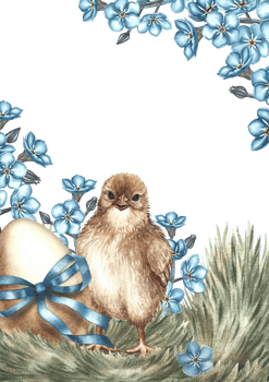 Easter card. A newly hatched chicken on the grass surrounded by forget-me-nots and an Easter egg. Hand-drawn watercolor illustration. For making Easter greeting cards and invitations. For packaging. png