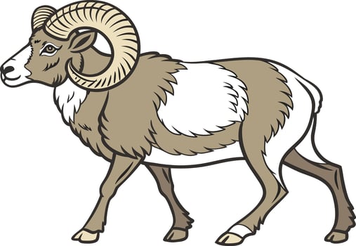 Creative Ram Design for Farm and Nature Projects Mountain Ram Design for Wildlife and Animal Artwork vector