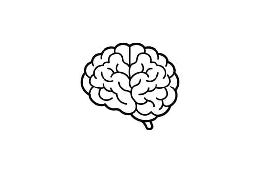 Human Brain Anatomy Illustration in Minimalist Style on White Background Brainpower Concept silhouette minimalist illustration vector