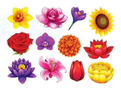 Colorful flower illustrations for creative use vector