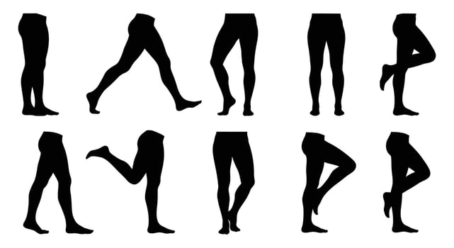 Silhouettes of legs in various poses vector