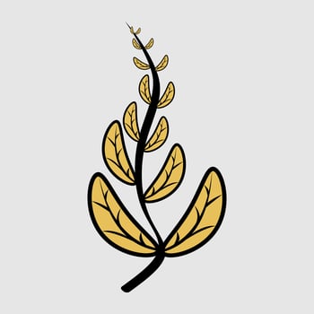 A simple, stylized illustration of a plant with a tall black stem and numerous yellow leaves. This botanical design represents nature, growth, and organic beauty, suitable for various design projects. vector