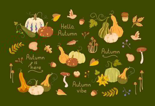 Colorful pumpkins and autumn leaves illustration vector