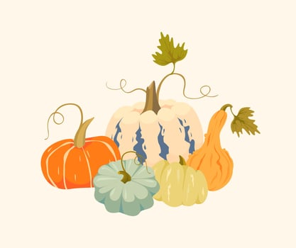 Colorful pumpkins and gourds display vector