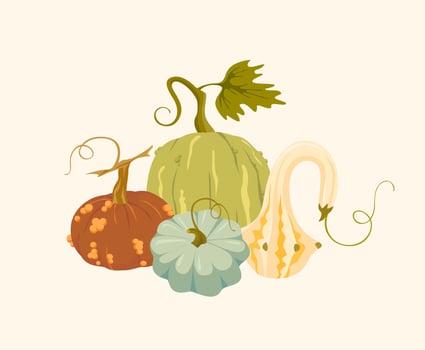 colorful assorted pumpkins and gourds vector
