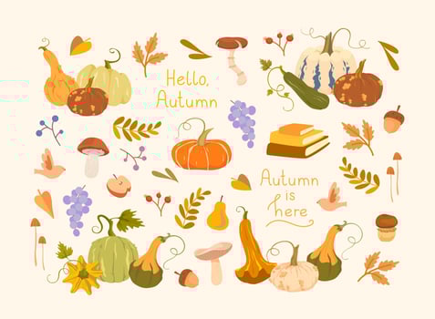 Autumn decorations with pumpkins and leaves vector