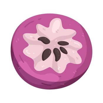 Illustration of Purple Star Apple Fruit vector