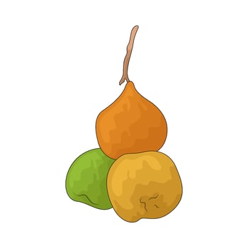three kinds of fruit vector