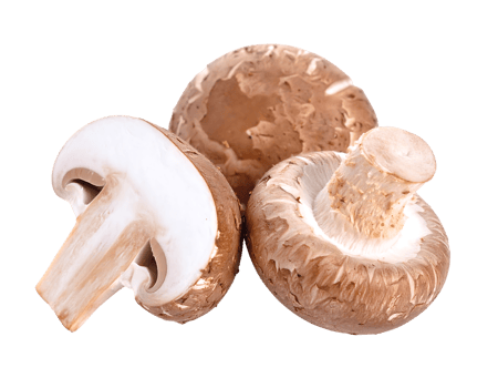 Mushrooms isolated on transparent background png