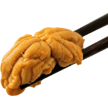 Uni Sea Urchin Sashimi with Chopsticks Delicious Food Illustration, food transparent background, Premium quality healthy Food isolate png