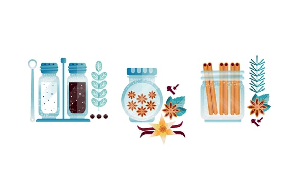 Set of Herbs and Spices Glass Jars, Anise, Vanilla, Pepper, Salt, Cinnamon Illustration vector