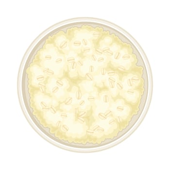 Oatmeal as Whole-grain Food with Rolled Oats in Deep Bowl Above View Illustration vector