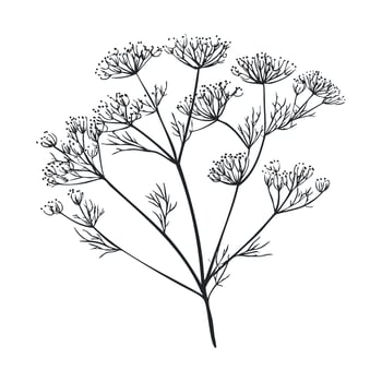 Botanical illustration of a flowering plant for designs vector