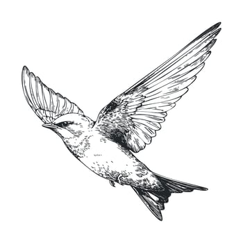 Graceful bird in flight showcasing natures beauty and freedom vector