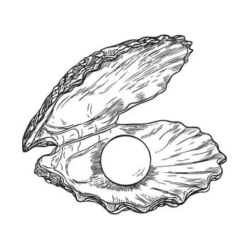 Natural beauty of a pearl inside an open oyster shell vector