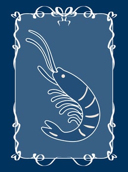 Blue Vintage Shrimp Illustration. Graphic Retro Style Sea Food Animal Art. Cafe Restaurant Menu Print. Mediterranean Coastal Life Style. Ocean Resort Travel vacation Holiday Decoration. Lace Border vector
