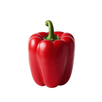 Single red bell pepper isolated on transparent background png