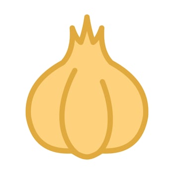 Whole garlic bulb illustration. Natural spice and seasoning icon for kitchen, recipes and farm produce. vector