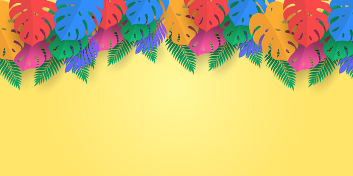 tropical leaves on yellow background for summer or nature vector