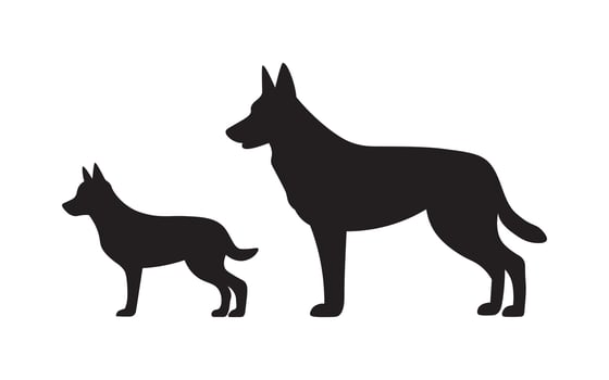 Silhouette illustration of two German Shepherd dogs, one adult and one puppy. Strong and loyal dog breed design in simple black vector